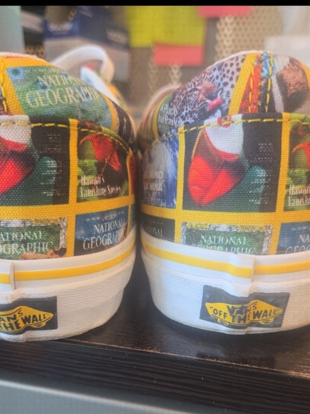 National Geographic Multicolor Graphic Canvas Sneakers - Picture 6 of 6